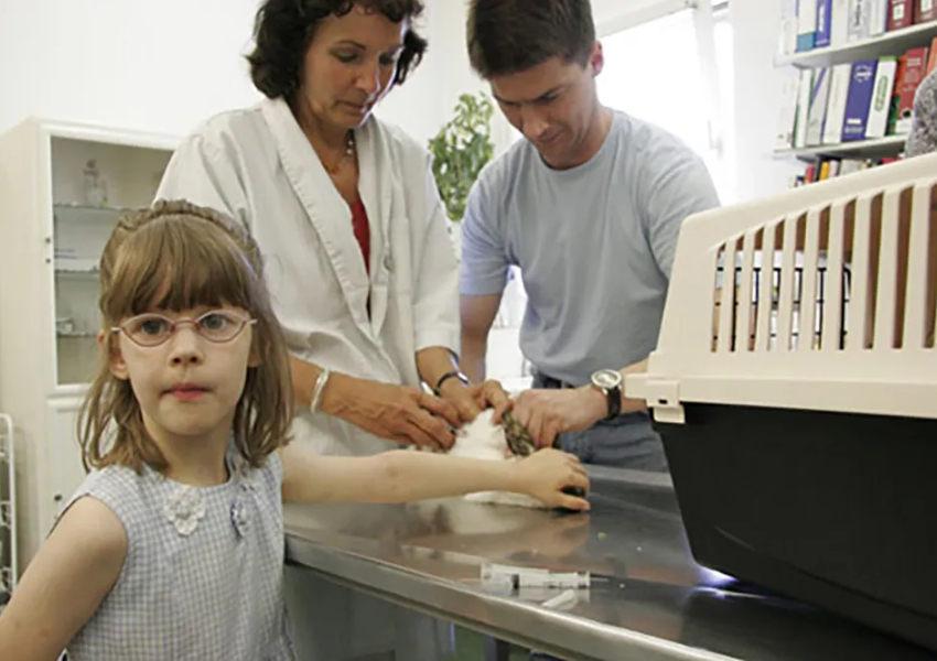 7_kaninchen-bekommt-spritze1